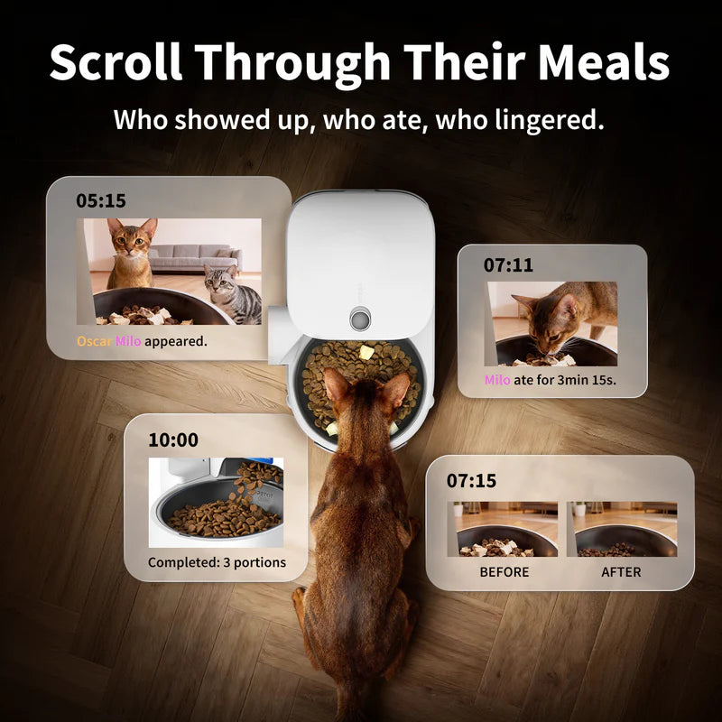 PETKIT YumShare Solo 2 Smart Automatic Pet Feeder with AI Camera, Timed Feeding, Multiple Pet Recognition for Cats, Small Dogs, App Control, Portion Control, 3L
