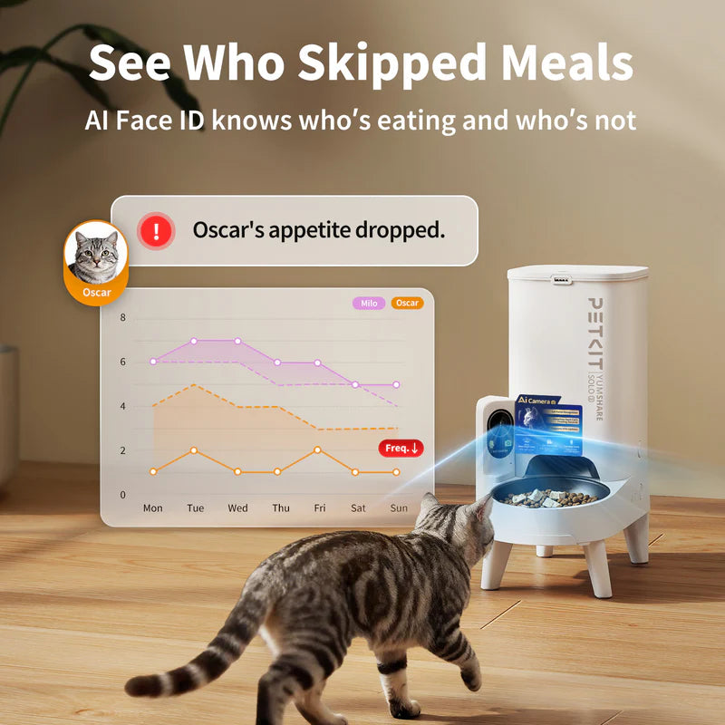PETKIT YumShare Solo 2 Smart Automatic Pet Feeder with AI Camera, Timed Feeding, Multiple Pet Recognition for Cats, Small Dogs, App Control, Portion Control, 3L