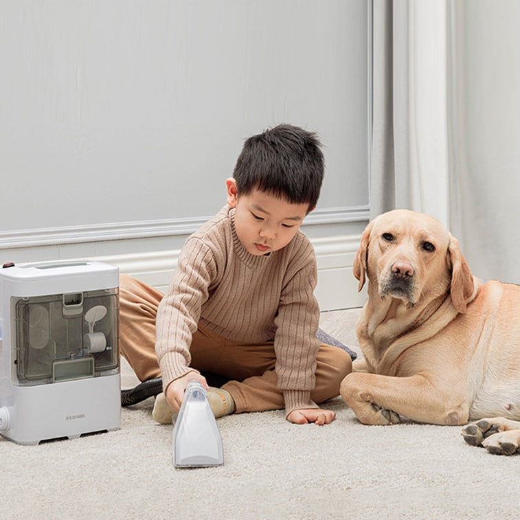 Nettoyeur portatif pour taches sur canapés et tapis IRIS - Blanc