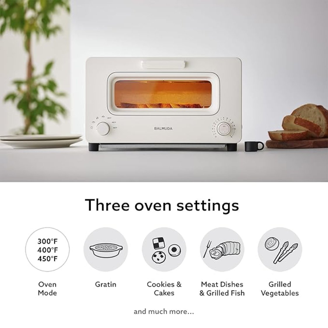 Balmuda The Toaster Steam Oven K05A White Feature Oven Settings