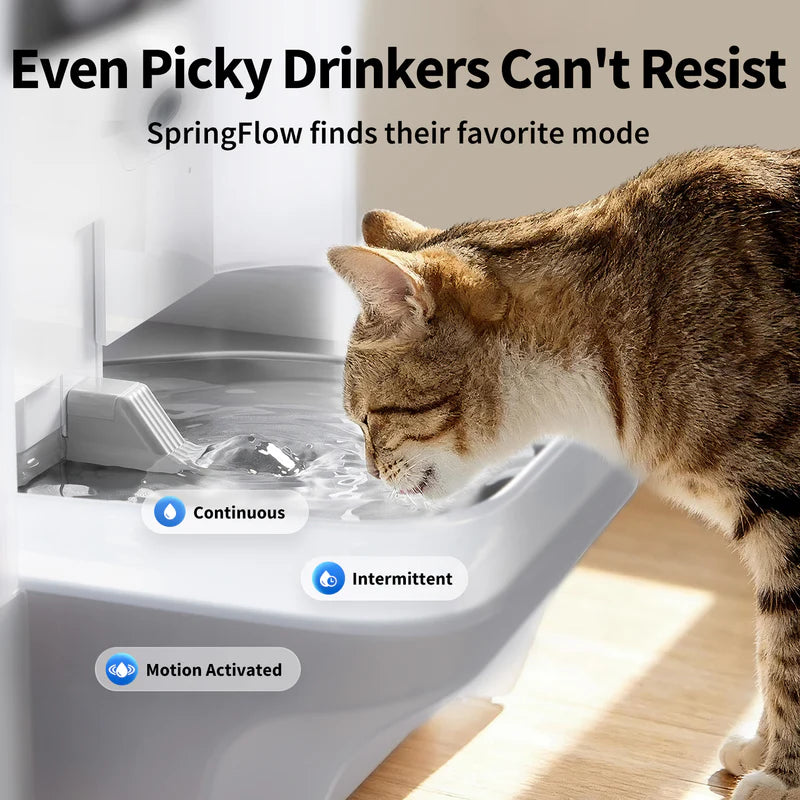 PETKIT Eversweet Ultra 5L Filterless Smart Pet Water Fountain with AI Camera, Cats & Small Dogs, Multi-Pet Hydration Tracking, Auto Refill & App Control (White)