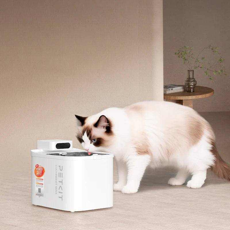 PETKIT Eversweet Max 2 Cordless Pet Water Fountain for Cats & Small Dogs, UVC Wireless, App Monitoring, Stainless Steel Tray, Up to 83-Day Battery, 3L (White)