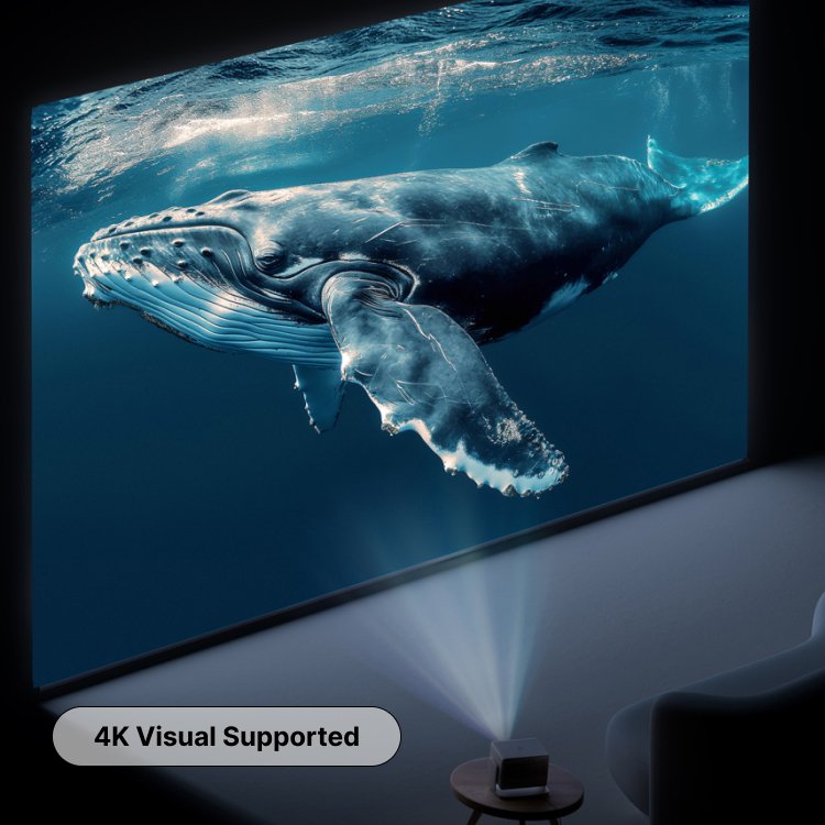 the MUBU Everglow Fixed Frame Projector Screen 4K Visual Supported