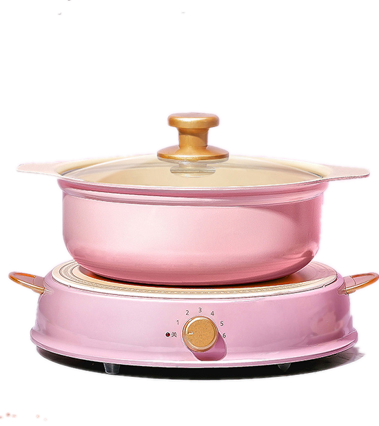 Iris Ohyama Induction Hotpot IHL-R14 Ricopa Pink